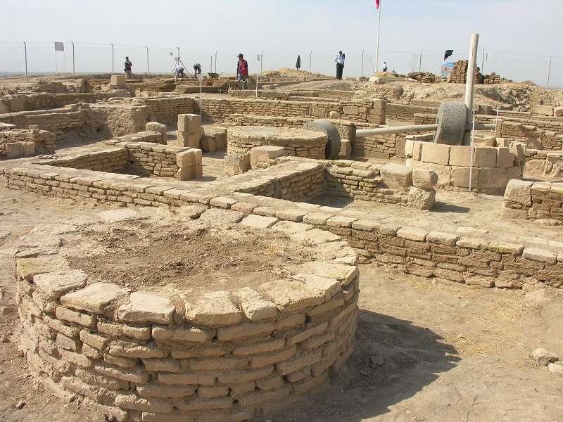 Harran Höyüğü