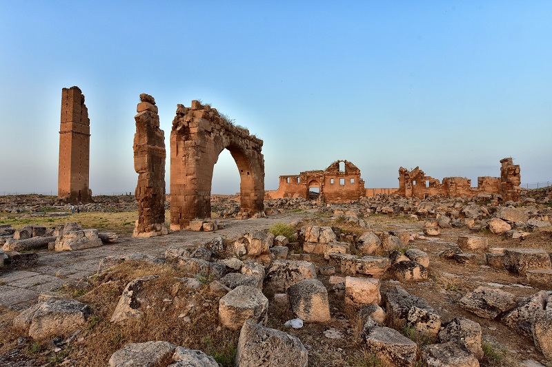 Harran Üniversitesi