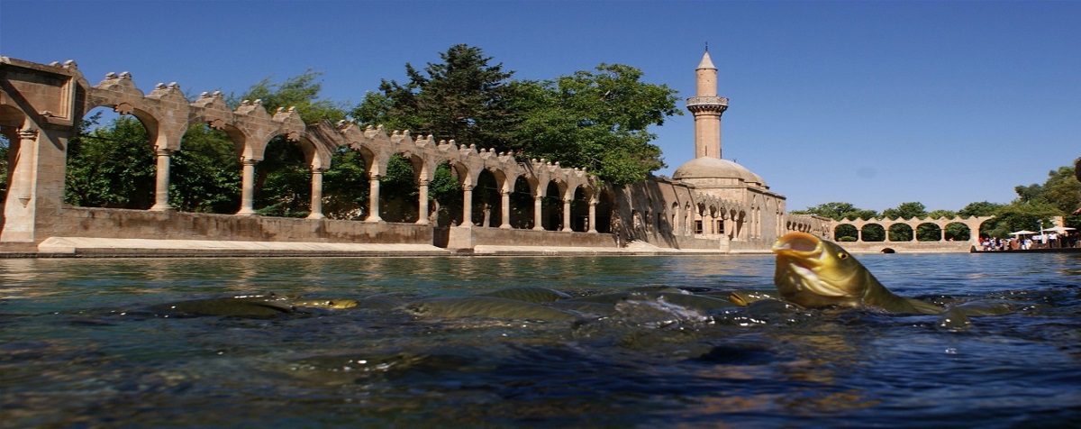 balıklı gölden bir görüntü